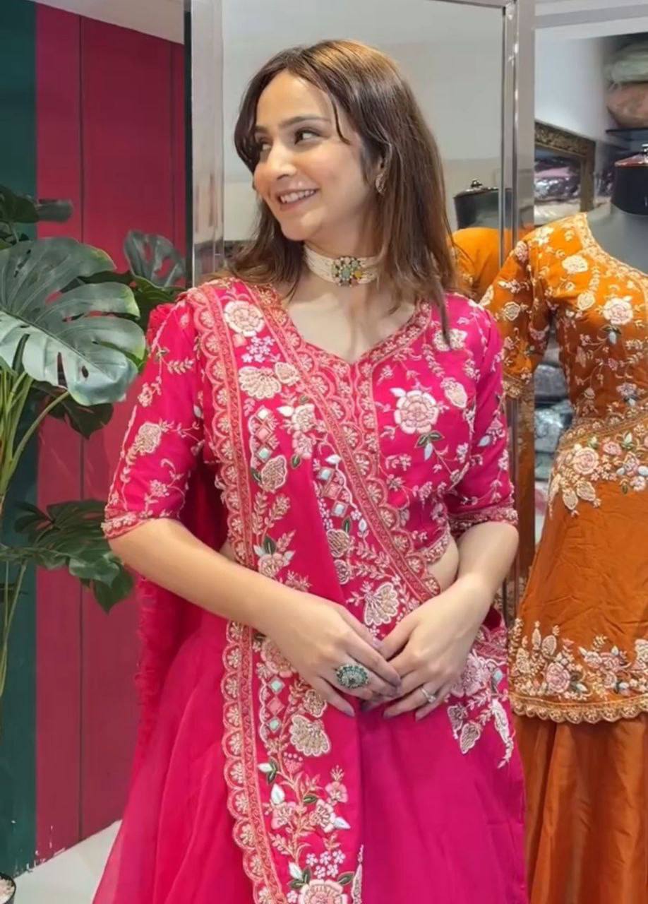 Designer Embroidered Saree for Women with Detailed Blouse